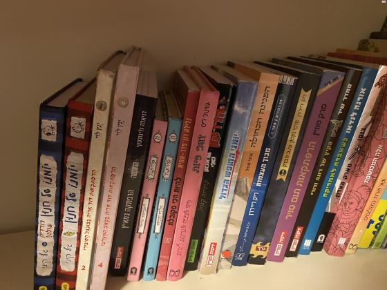 סדרות ספרים של:ג״ורג? הסקרןריקי טריקי...