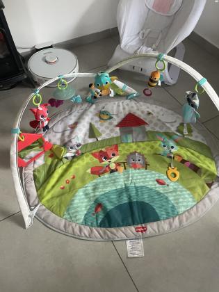 אוניברסיטה של שילב חברת טייני