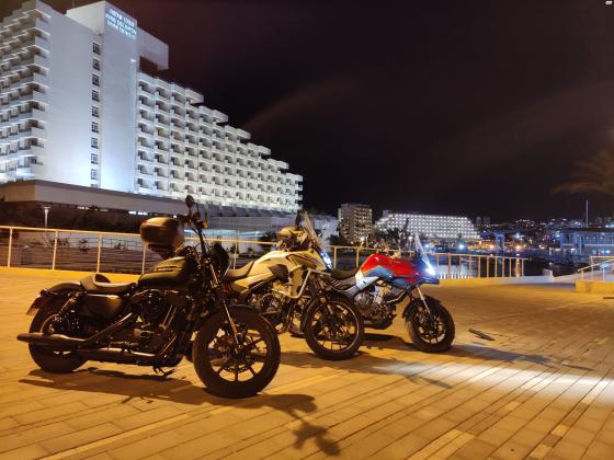 הרלי דיווידסון איירון 1200 (2022)