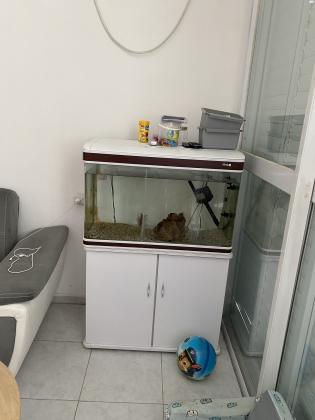 למכירה אקווריום עם הציוד הכולל