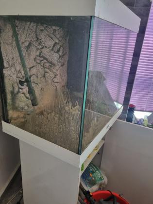 אקוריום מדהים