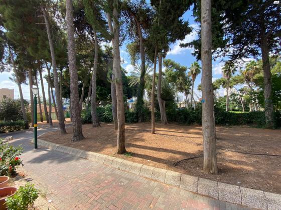 אבן אביתור 12 (רמת עמידר)