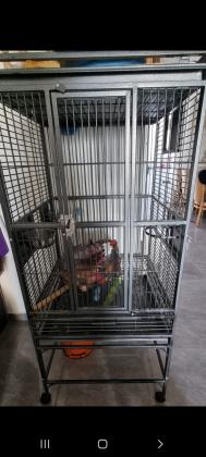 כלוב A11 במצב מעולה! מצוין