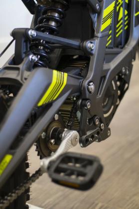 SUR-RON 2020 Light Bee X