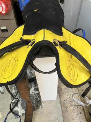 2 אוכפים ספורט , ראשיה אם מתג