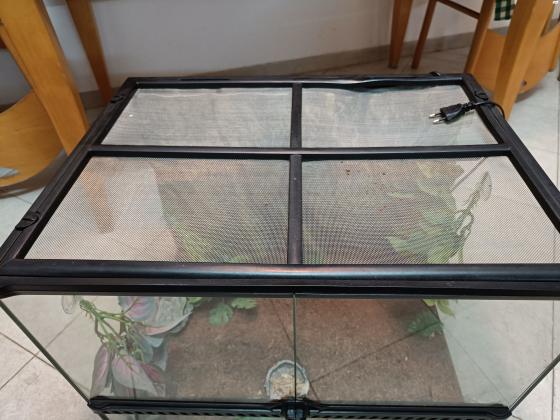 טרריום מושלם לצב קטן או