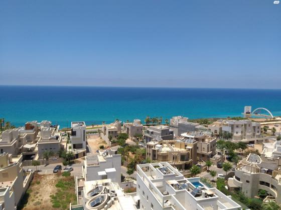 פייר קניג 11 (מרכז העיר)