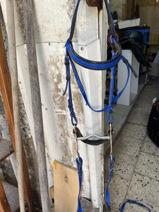 2 אוכפים ספורט , ראשיה אם מתג