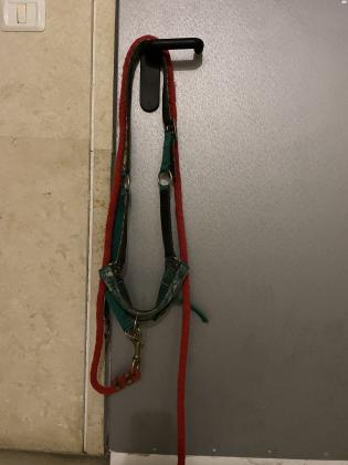 ראשית בית של חברת qhp + חבל אדום