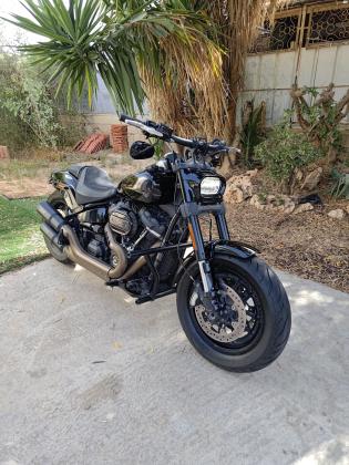 הרלי דיווידסון פאט בוב 114 (2018)