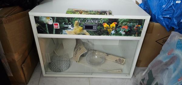 אומנת אומנה מדגרה לתוכים יכול