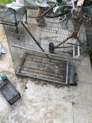 ווליר 300₪כלוב רביעייה יש 2