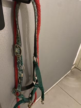 ראשית בית של חברת qhp + חבל אדום