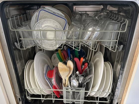 מדיח כלים של BOSCH במצב