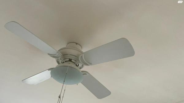 2 מאוררי ?סטאר? נהדרים בצבע