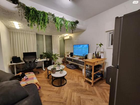 שלומציון המלכה 17 (הצפון החדש החלק הצפוני)