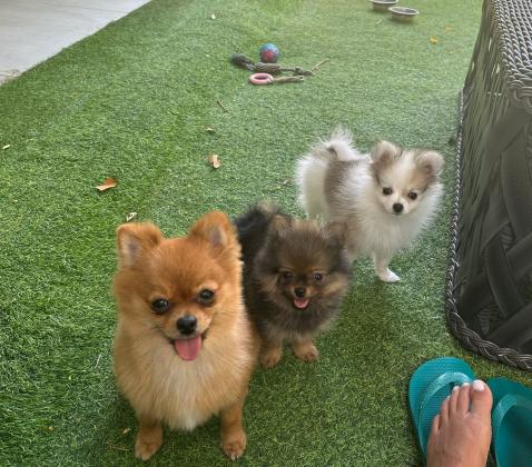 המלטה ראשונה ואחרונה!