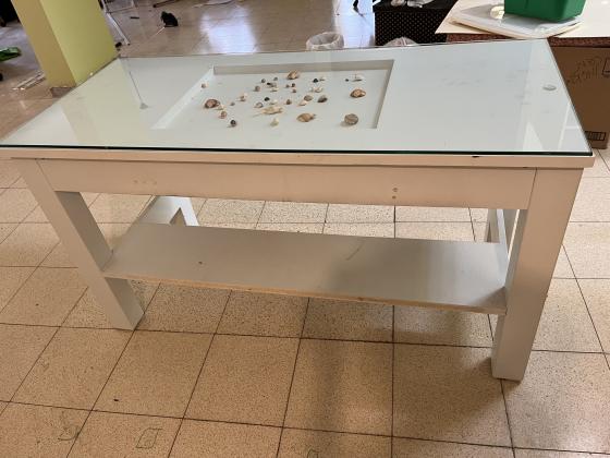 שולחן כתיבה תכלת מעץ מלא