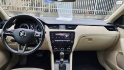 סקודה אוקטביה Exclusive אוט' 2.0 (190 כ''ס) בנזין 2019 למכירה ב