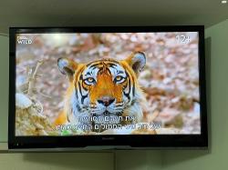 טלויזיה שארפ 32 אינצ' LCD