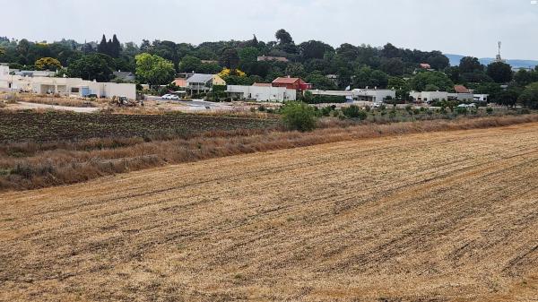 התאנים 28 (מרכז העיר)