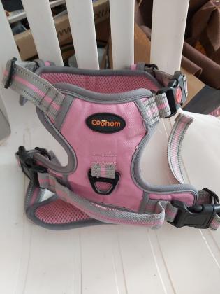 רצועת גוף הולכה לכלב גודל