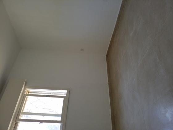 שבטי ישראל 29 (בני ישראל)