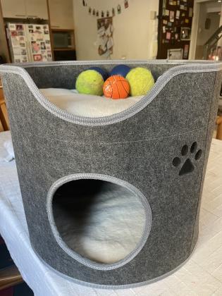 איגלו/ מיטה לחתול או לכלב