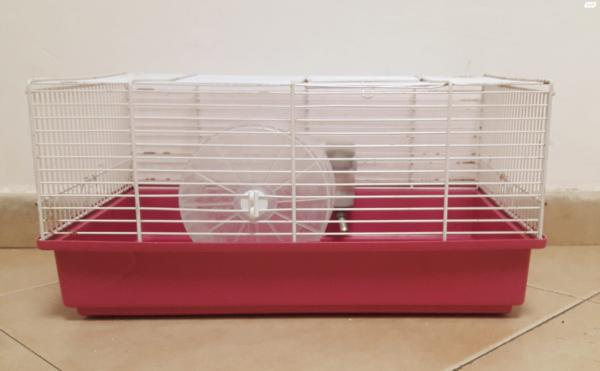 כלוב לאוגרים עם מתקן שתייהומתקן