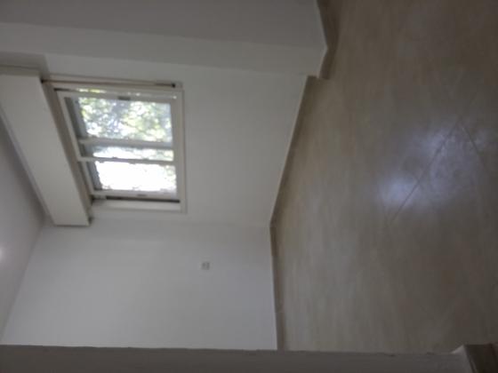 שבטי ישראל 29 (בני ישראל)