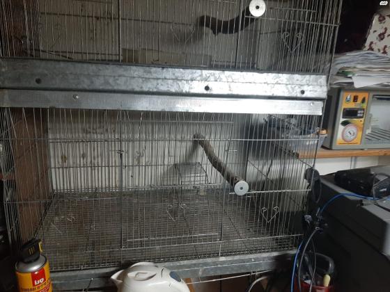 זוג כלובים מחובר כולל מגשים