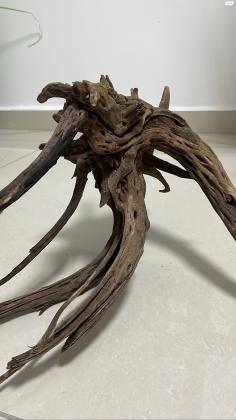 גזע עץ דקורטיבי מיוחד לאקווריום