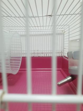 כלוב לאוגרים עם מתקן שתייהומתקן