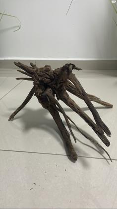 גזע עץ דקורטיבי מיוחד לאקווריום