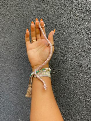 בקיעה חדשה בבית גידול סנייקס