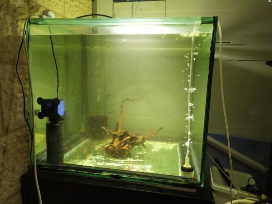 אקווריום מדהים, 300 ליטר, סרגל