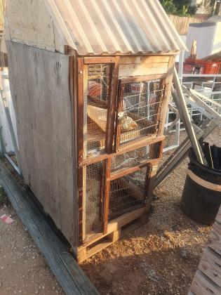 כלוב מחולק לשניים בעבר היו