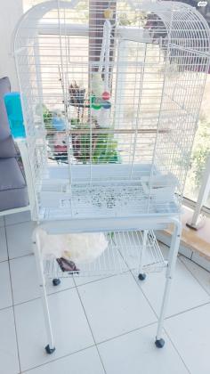 למכירה כלוב גדול על גלגלים עם 2 תוכונים