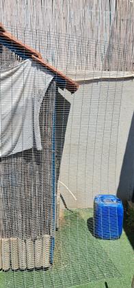 רשת להכנת כלוב