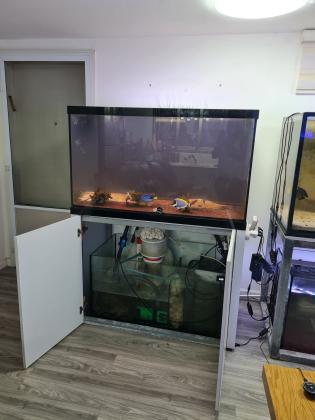 אקווריום מדהים