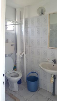 האורן 12 (מנחם בגין)