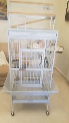 כלובים A 10כלובים A11