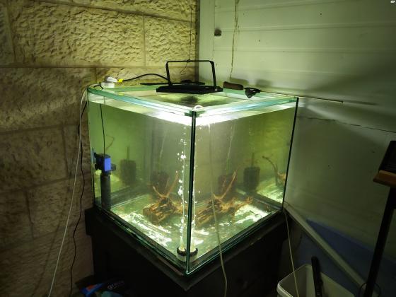 אקווריום מדהים, 300 ליטר, סרגל