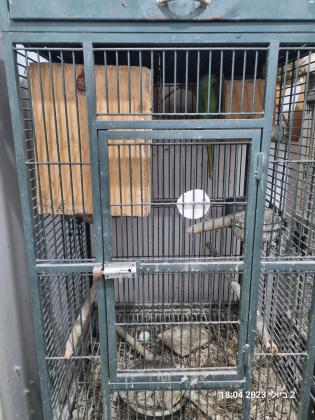 למכירה 2 כלובים גדולים משומשים