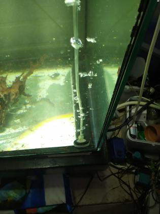 אקווריום מדהים, 300 ליטר, סרגל