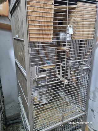 למכירה 2 כלובים גדולים משומשים