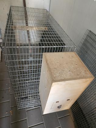 כלוב מקצועי בגודל מטר על