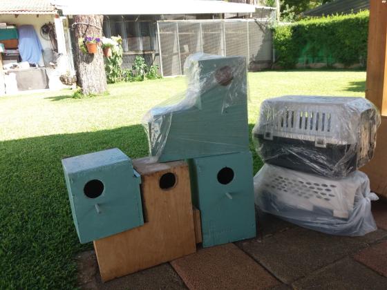 תאי הטלה + כלובים