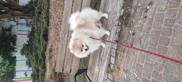 למכירה, עקב חוסר זמן, יפיוף