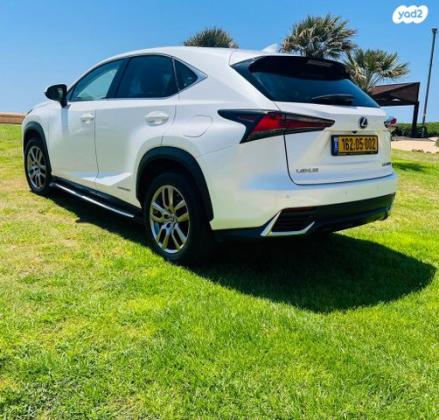 לקסוס NX 4X4 NX300H Premium הייבריד אוט' 2.5 (155 כ''ס) בנזין 2020 למכירה בנתניה